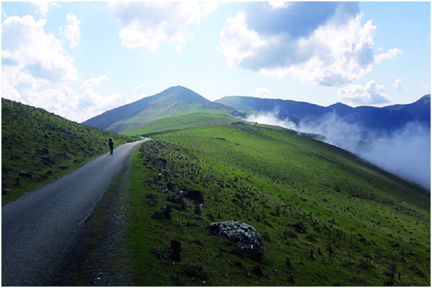 Mardi Himal Trek